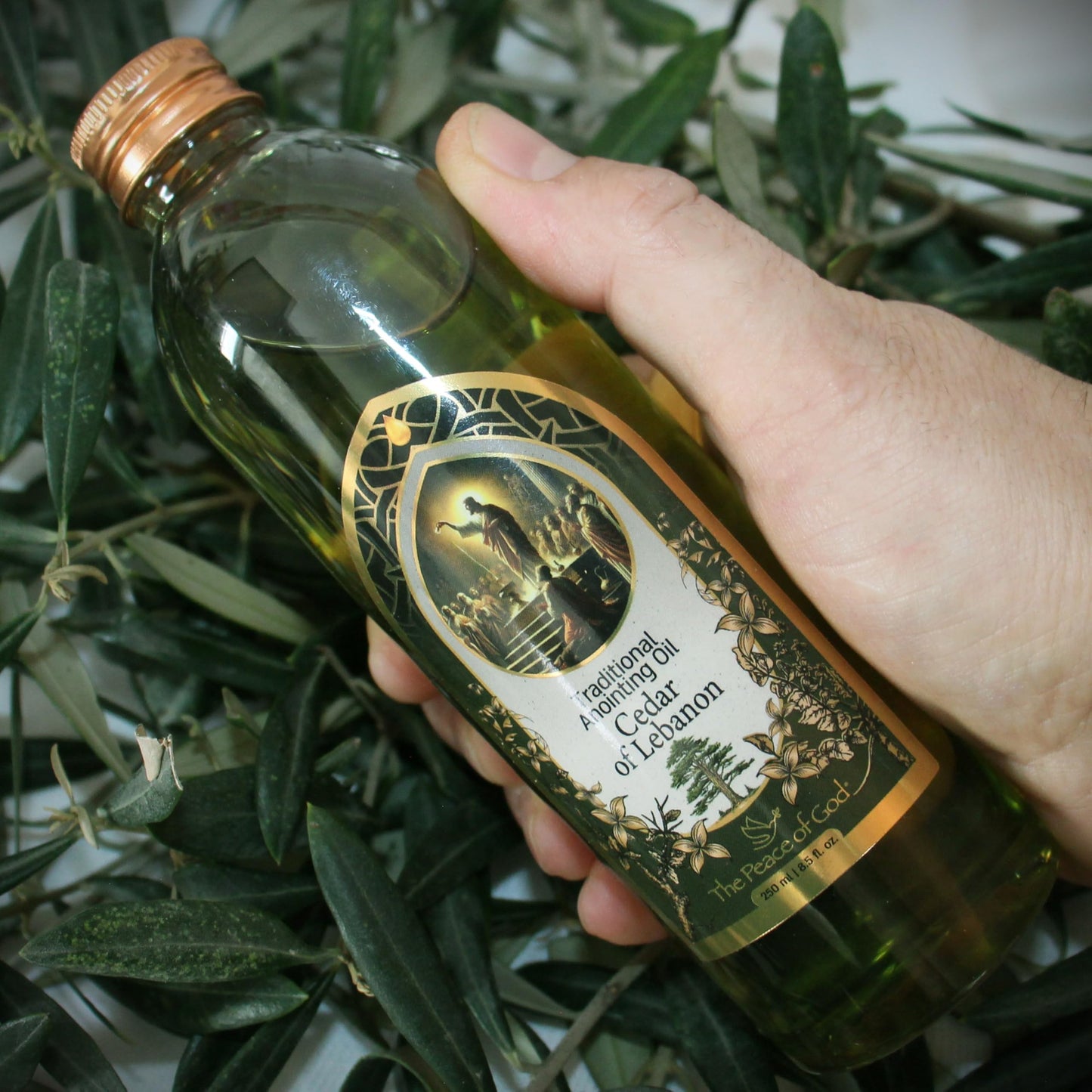 Cedar of Lebanon Scented Blessed Holy Anointing Oil Bottle for Christian Prayer, Meditation from Israel Jerusalem - 250 ml | 8.5 fl.oz.
