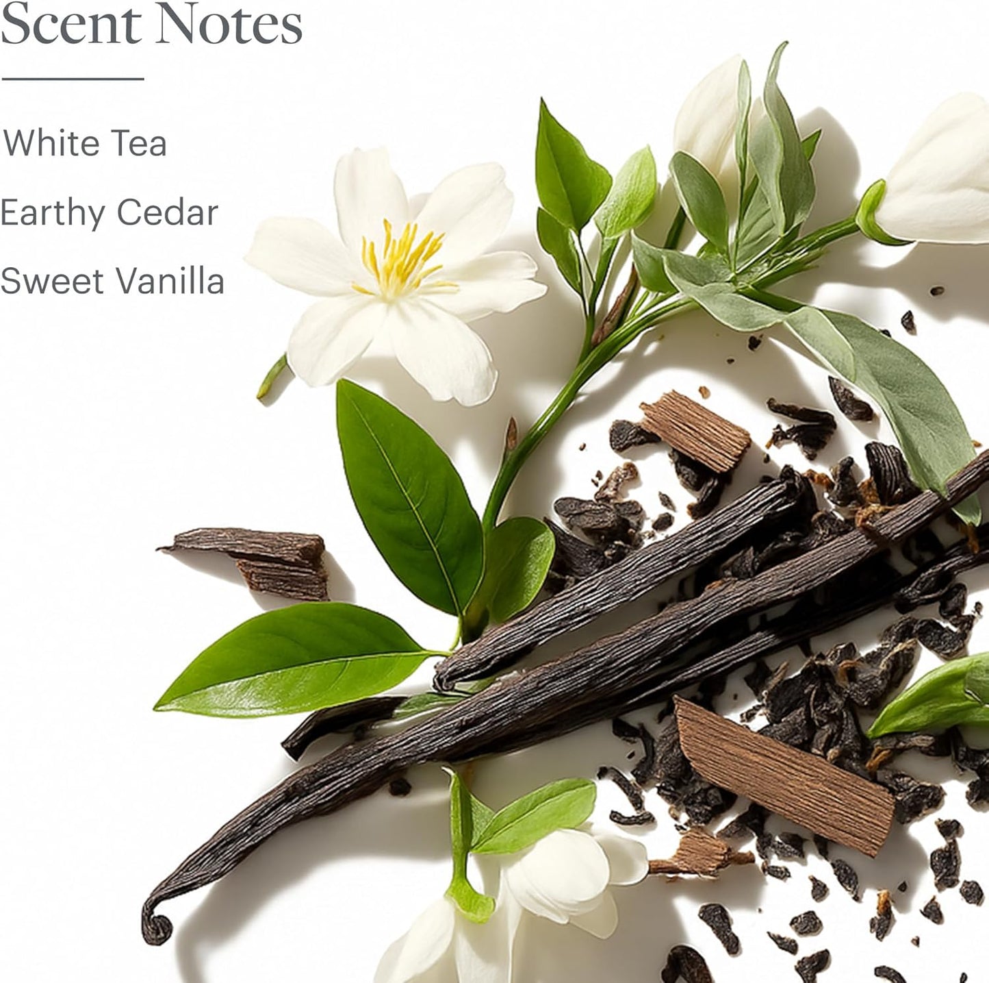 White Tea Reed Diffuser - Luxurious Home Fragrance Set | 5 oz. Signature Scent