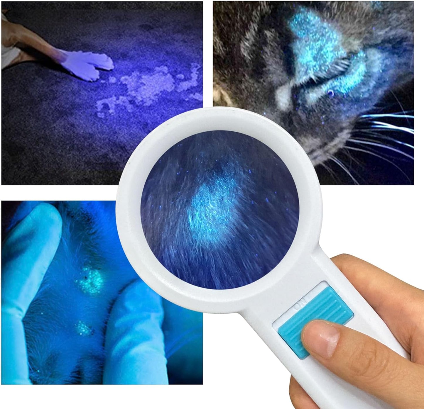 Cordless Wood's Lamp for Ringworm Detection | 5X Magnifying LED Light - Battery Powered, Black