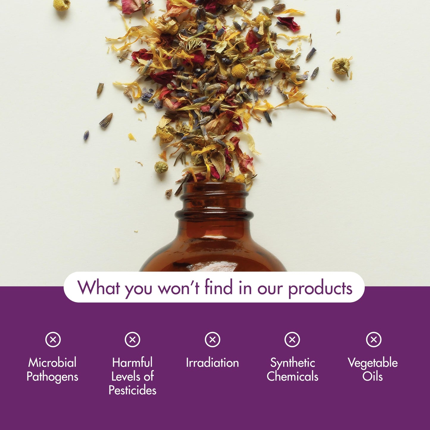 NOW Essential Oils, Clove Oil, Balancing Aromatherapy Scent, Steam Distilled, 100% Pure, Vegan, Child Resistant Cap, 4-Ounce