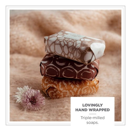 Zents Triple-Milled Luxe Bar Soap (Anjou Fragrance) Moisturizing Hand and Body Wash with Organic Shea Butter, 5.7 oz