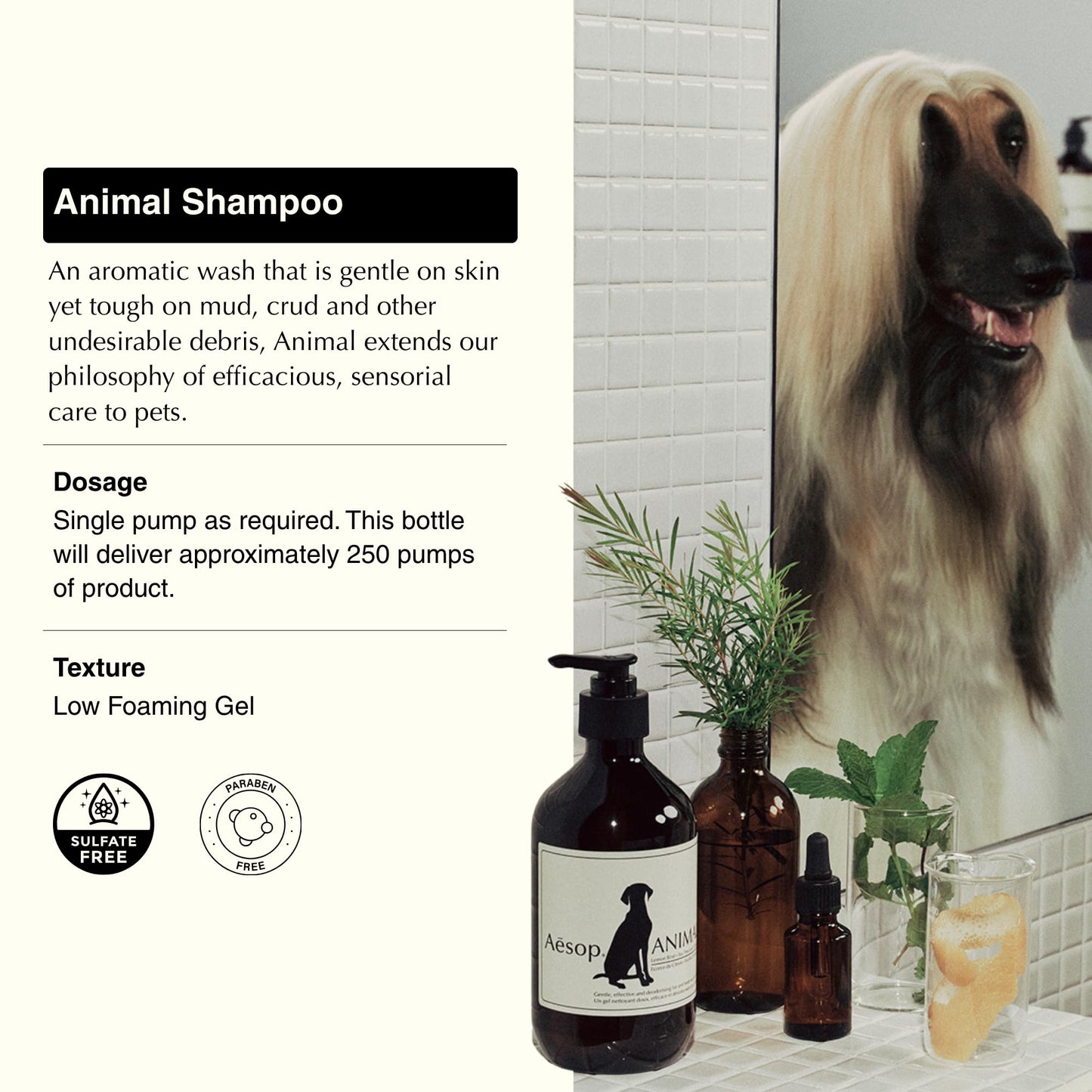 Aesop Pet Shampoo | Mild Dog Shampoo and Coat Wash that Gently Cleanses and Calms Skin with Odor Control | Fresh and Citrus Scent | Vegan, Paraben, & Cruelty Free | 16.9 oz