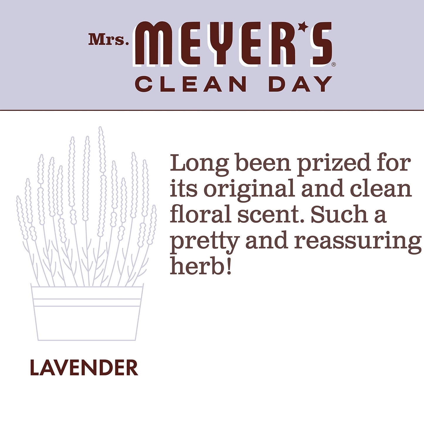 Mrs. MEYER'S Clean Day Liquid Hand Soap Refill, Lavender, 33 Fl Oz (Pack of 6)