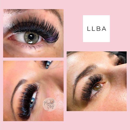 LLBA Promade Fans | Handmade Volume Eyelashes | Multi Selections From 3D To 16D | C CC D DD L M Curl | Thickness 0.03 ~ 0.1 mm | 8 - 20mm Length | Long Lasting | Easy Application (10D-0.03 D 16 mm)