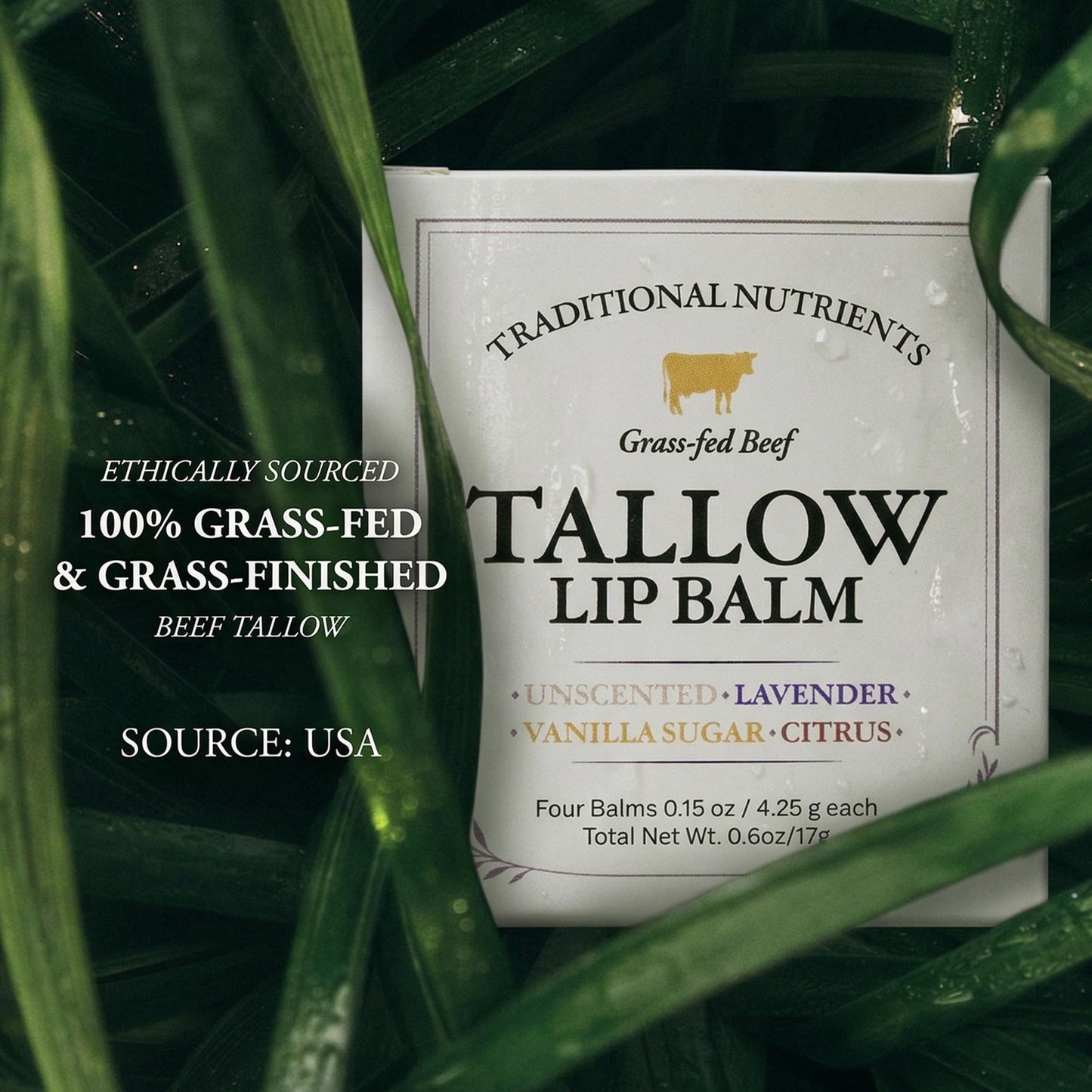 Traditional Nutrients Grass-Fed Beef Tallow Lip Balm, Variety 4-Pack, Unscented, Lavender, Vanilla Sugar, Citrus, with Organic Beeswax