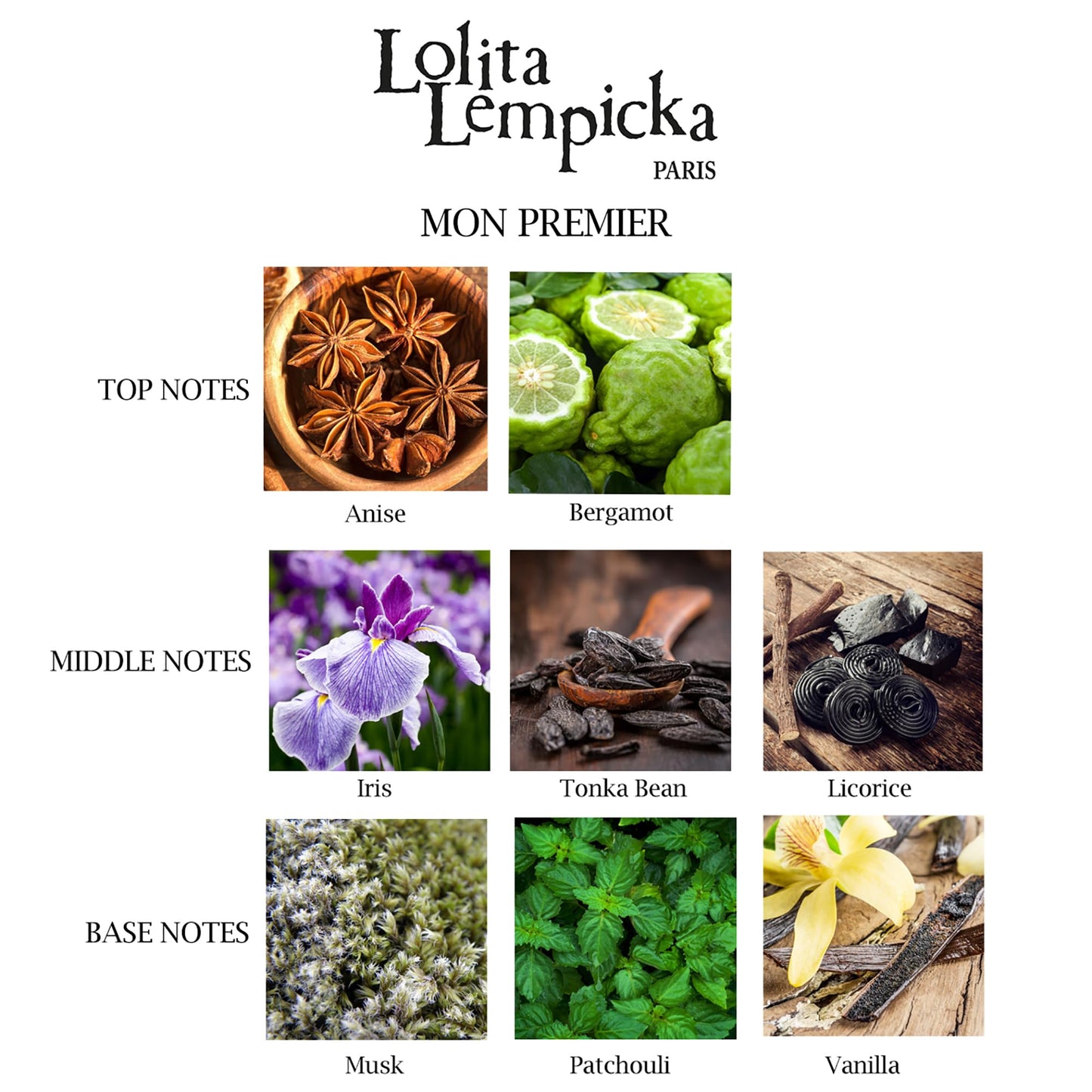 Lolita Lempicka Mon Premier Ladies - Eau De Parfum Spray - Floral, Fruity Gourmand - Ideal for Daily Wear and Special Events - 1.7 Oz