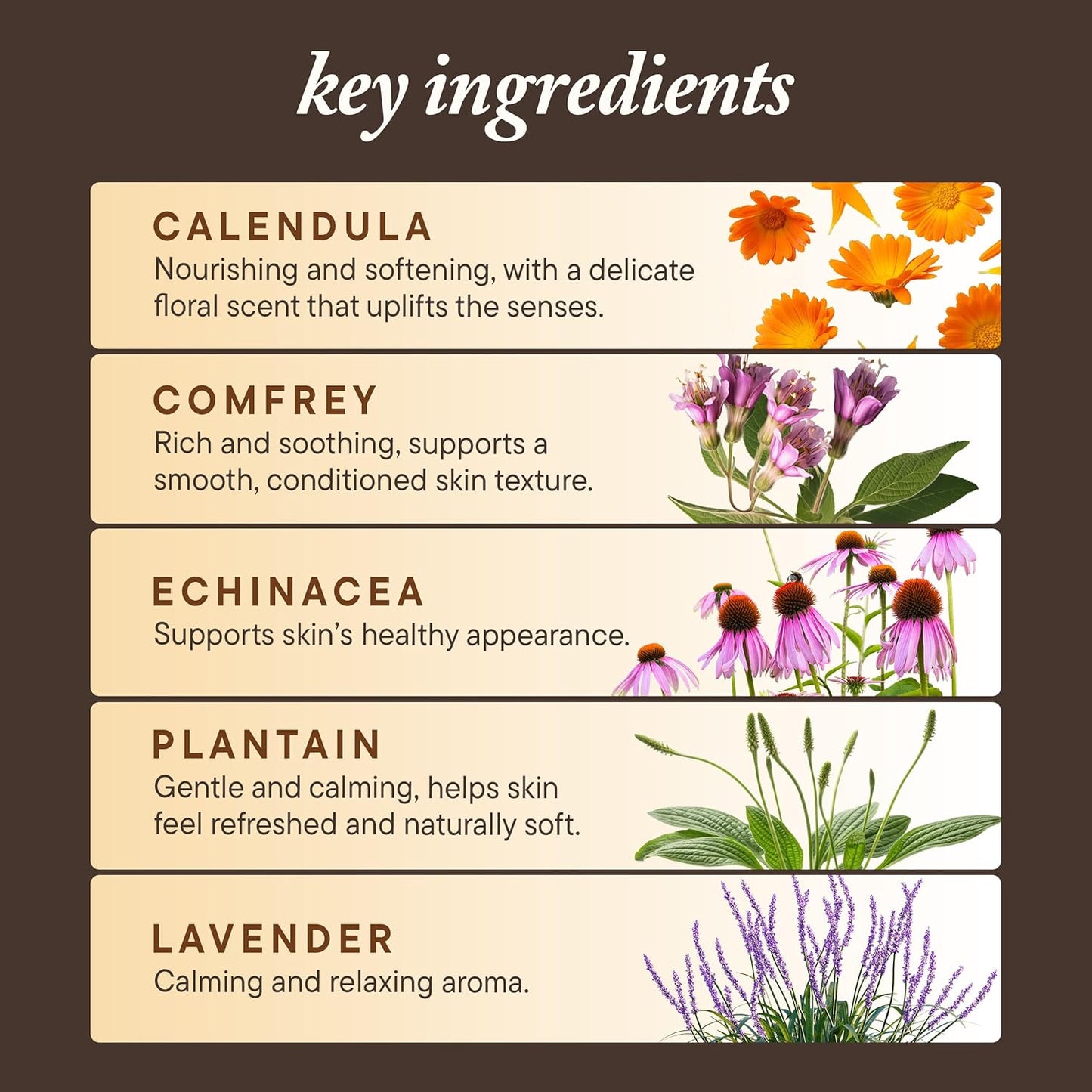 Kuumba Made Scar Care Herbal Salve - Restorative Plant-Based Balm with Comfrey & Calendula | 1 Oz