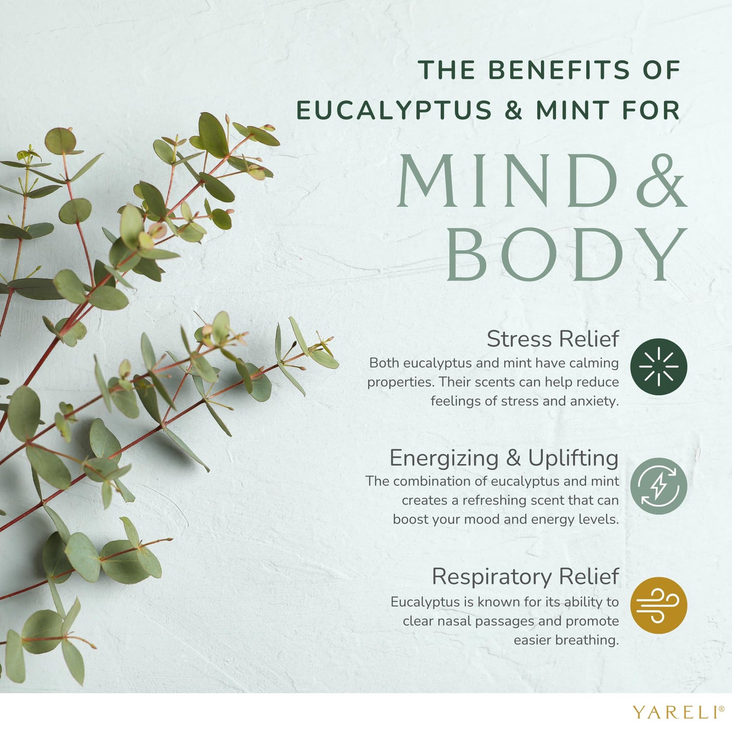 Yareli Eucalyptus Mint Shower Steamers Aromatherapy – Potent Essential Oils, Slow-Dissolve Tablets for Daily Shower Self-Care – Dye-Free, Made in USA – 12 Pack