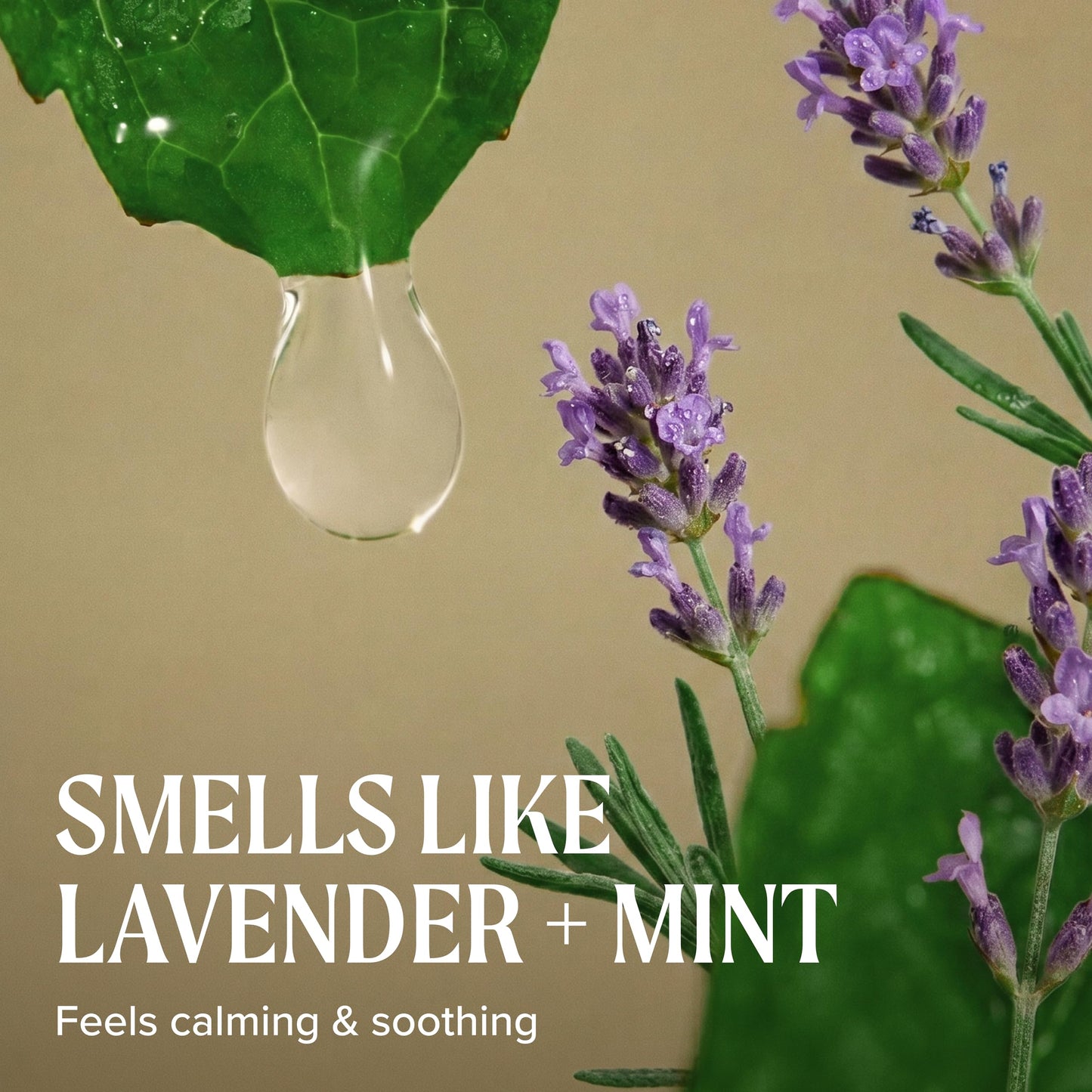 Tea Tree Lavender Mint Moisturizing Conditioner, Hydrates + Soothes, For Coarse + Dry Hair, 10.14 fl. oz.