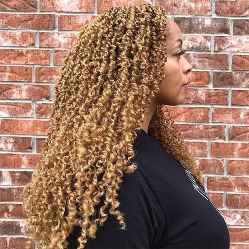 Passion Twist Hair 18Inch 6packs - Blonde Water Wave Crochet Braids, for Butterfly Locs or Bohemian Passion Twists Crochet hair Synthetic Braiding Hair Extensions(18Inch 6packs, 27#)