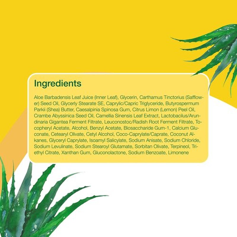 Alba Botanica Aloe Vera Lotion for Skin, Soothing After Sun Treatment for Face and Body, Made with Purity Certified 80% Aloe Vera Gel Formula, 8 fl. oz. Tube (Pack of 2)