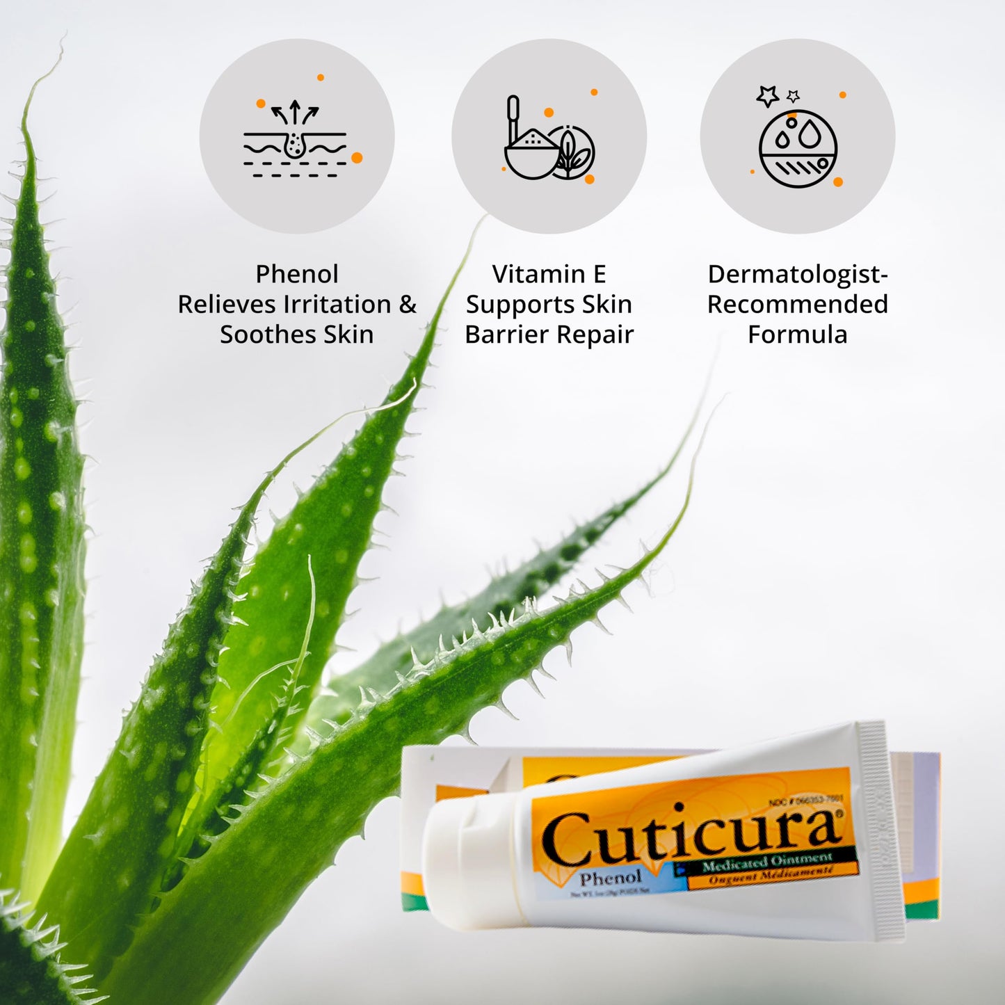 Cuticura Medicated Ointment | First Aid Antiseptic | Infection Protection | Antibiotic-Free Ointment for Cuts, Scrapes & Burns | Soothing Itch & Pain Relief with Aloe Vera & Vitamin E (1 oz) (1 Pack)