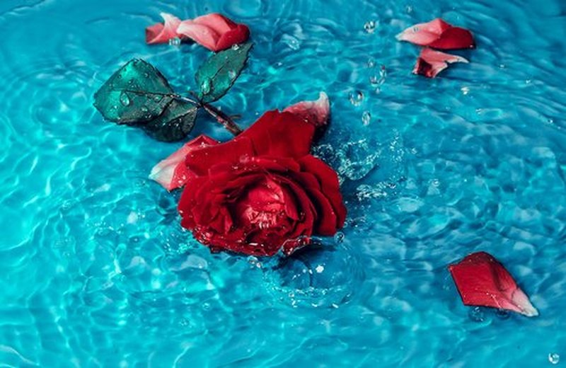 FIRETEAS - Royal Rose Bath Salts with Saffron - Dead Sea Salt, Himalayan Salt, Saffron Threads, Rose Petals & Sweet Orange Essential Oil. Bath of The Royalty & Great Fragrances & Relaxing Effects.