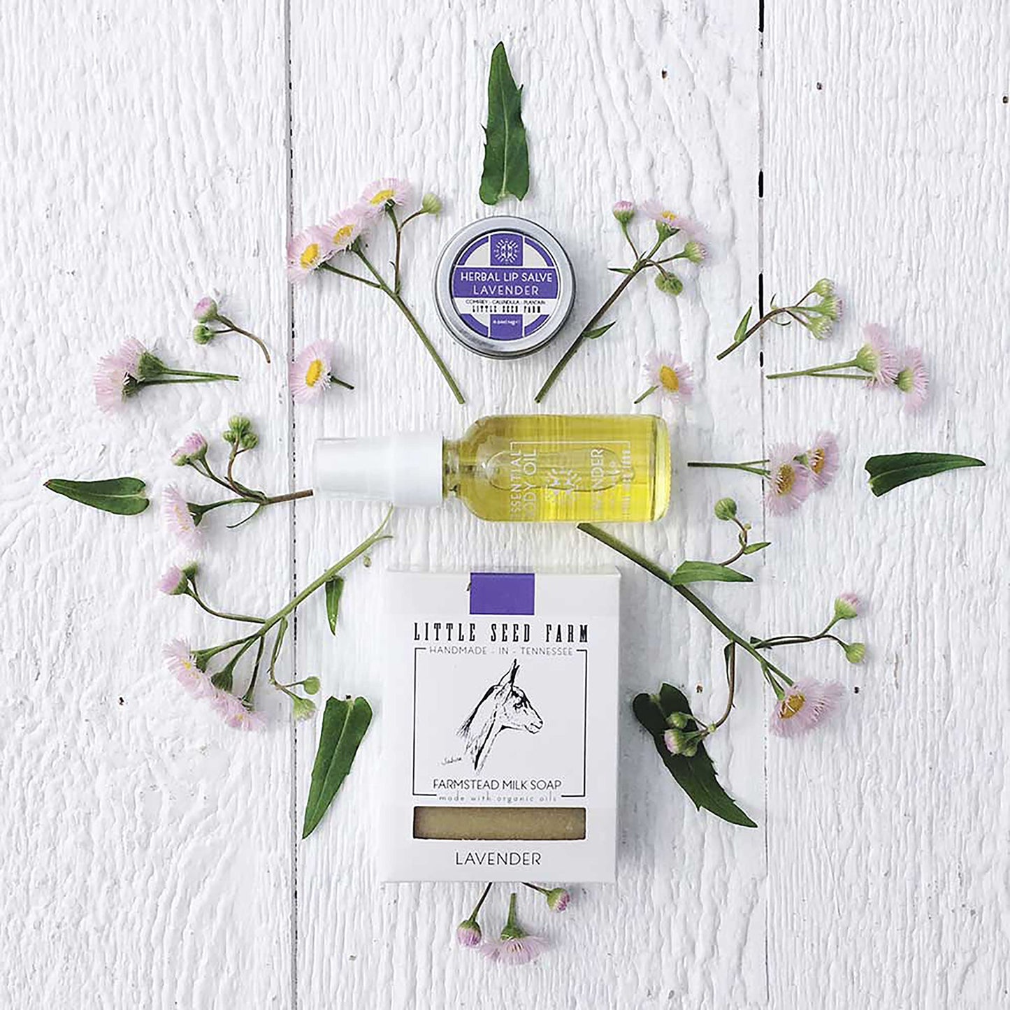Little Seed Farm Organic Goat’s Milk Soap – 3 Pack of Lavender Facial and Body Soap Bars – Natural, Handmade and Cruelty Free – Calming and Relaxing – Suitable for Sensitive Skin, Net Wt. 4.75oz