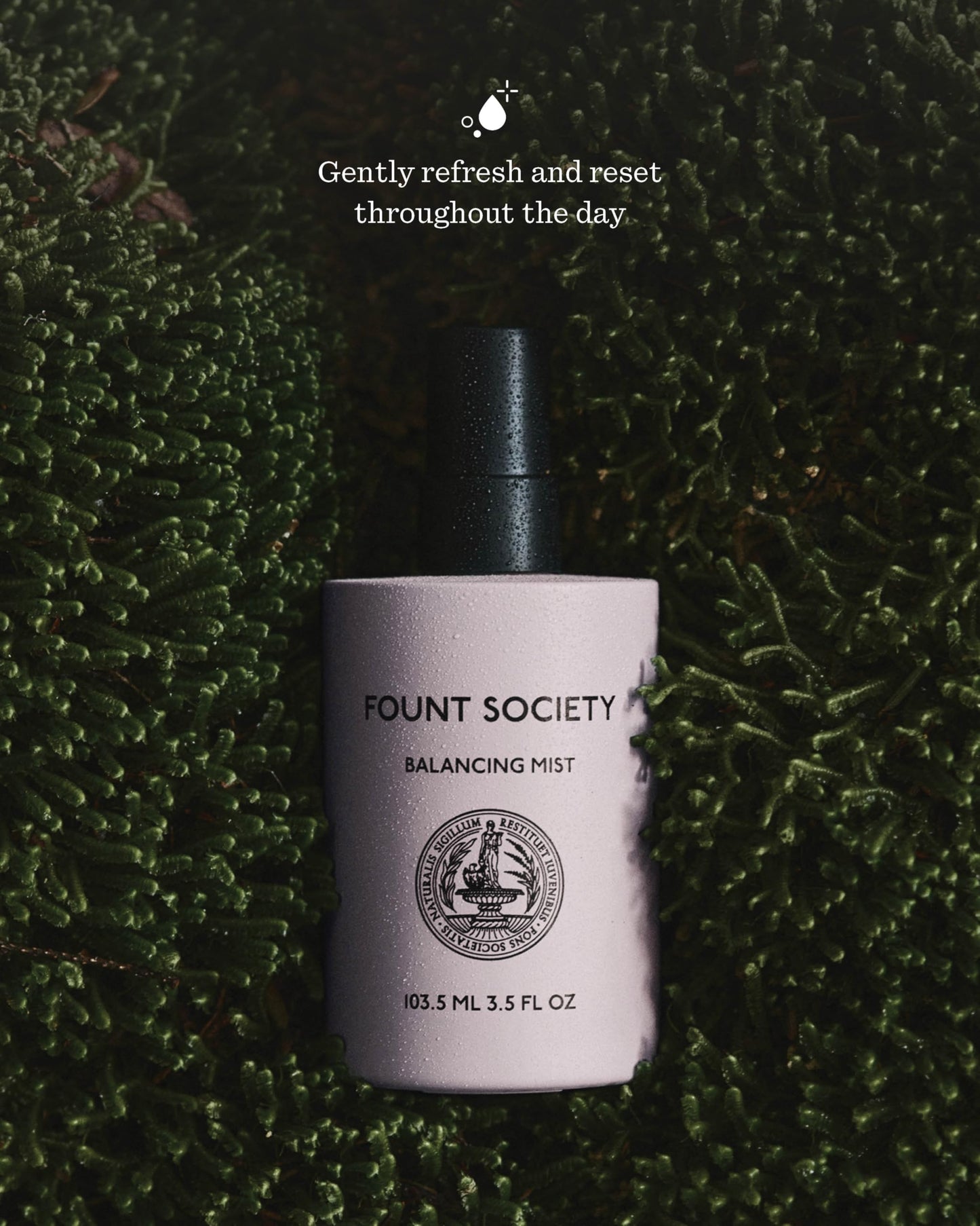 Fount Society Balancing Face Mist - 3.5 fl oz Refreshing Rosewater Facial Mist for Hydration & pH Balance - Lightweight, Soothing Formula with Snow Mushroom - Vegan & Cruelty-Free