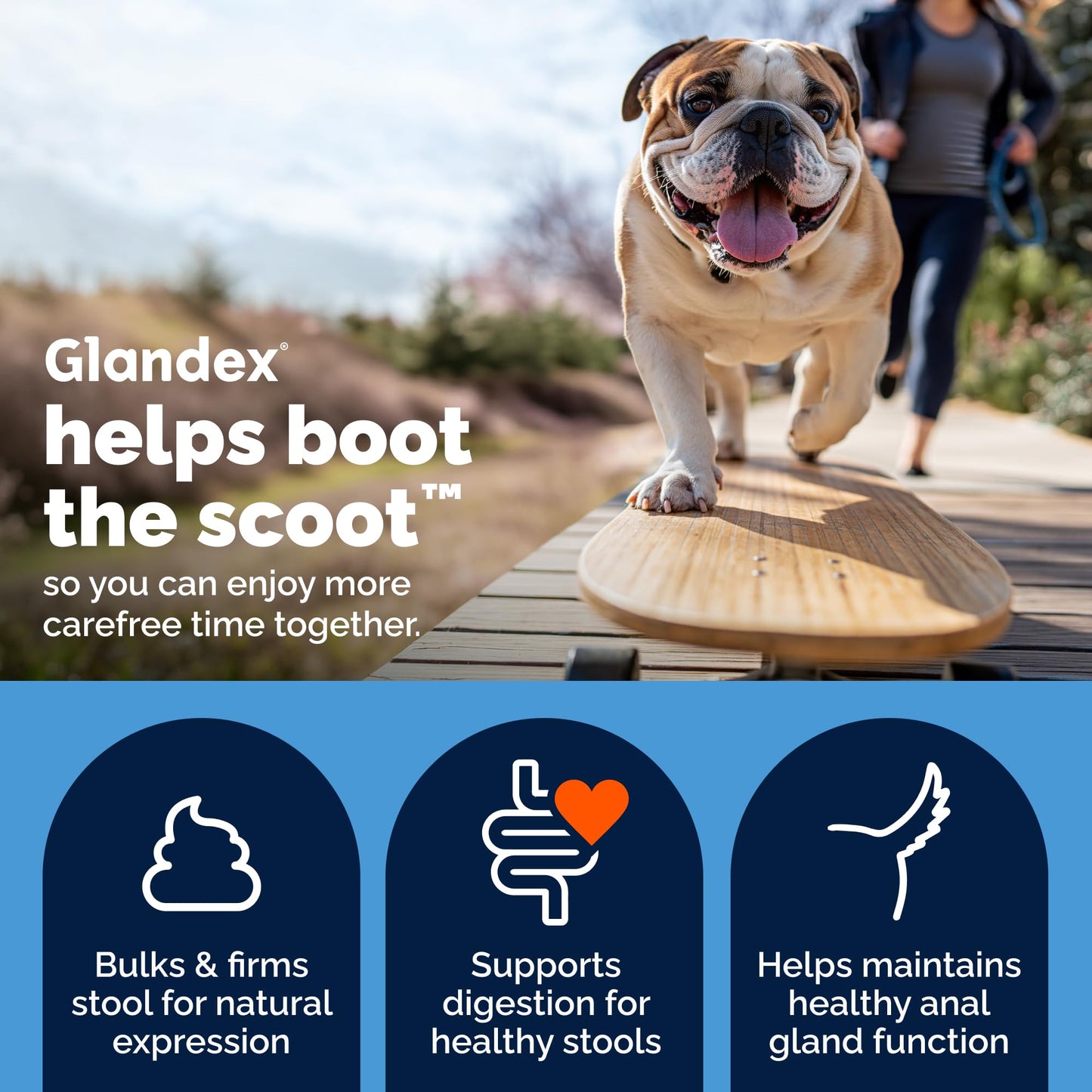 Vetnique Glandex for Dogs Anal Gland Powder, Support for Scooting & Fishy Odor, Boot the Scoot Fiber Supplement, Pumpkin Powder & Probiotics for Dogs with Digestive Enzymes