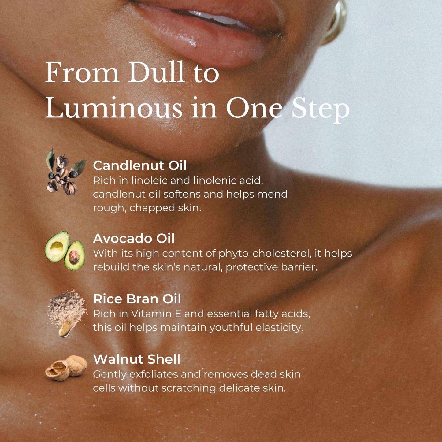 JUARA Candlenut Body Polish - 2-in-1 Exfoliating Body Scrub with Candlenut Oil, Rice Bran & Walnut Shell - Moisturizing Body Exfoliator, No Water Needed, Indonesian Jamu, (7.5 ounce)