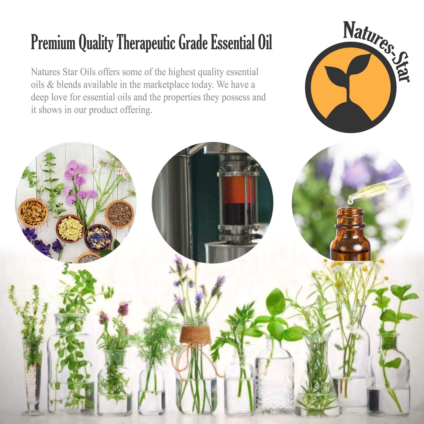 Natures-Star Essential Oil Peppermint 16 oz Therapeutic Grade