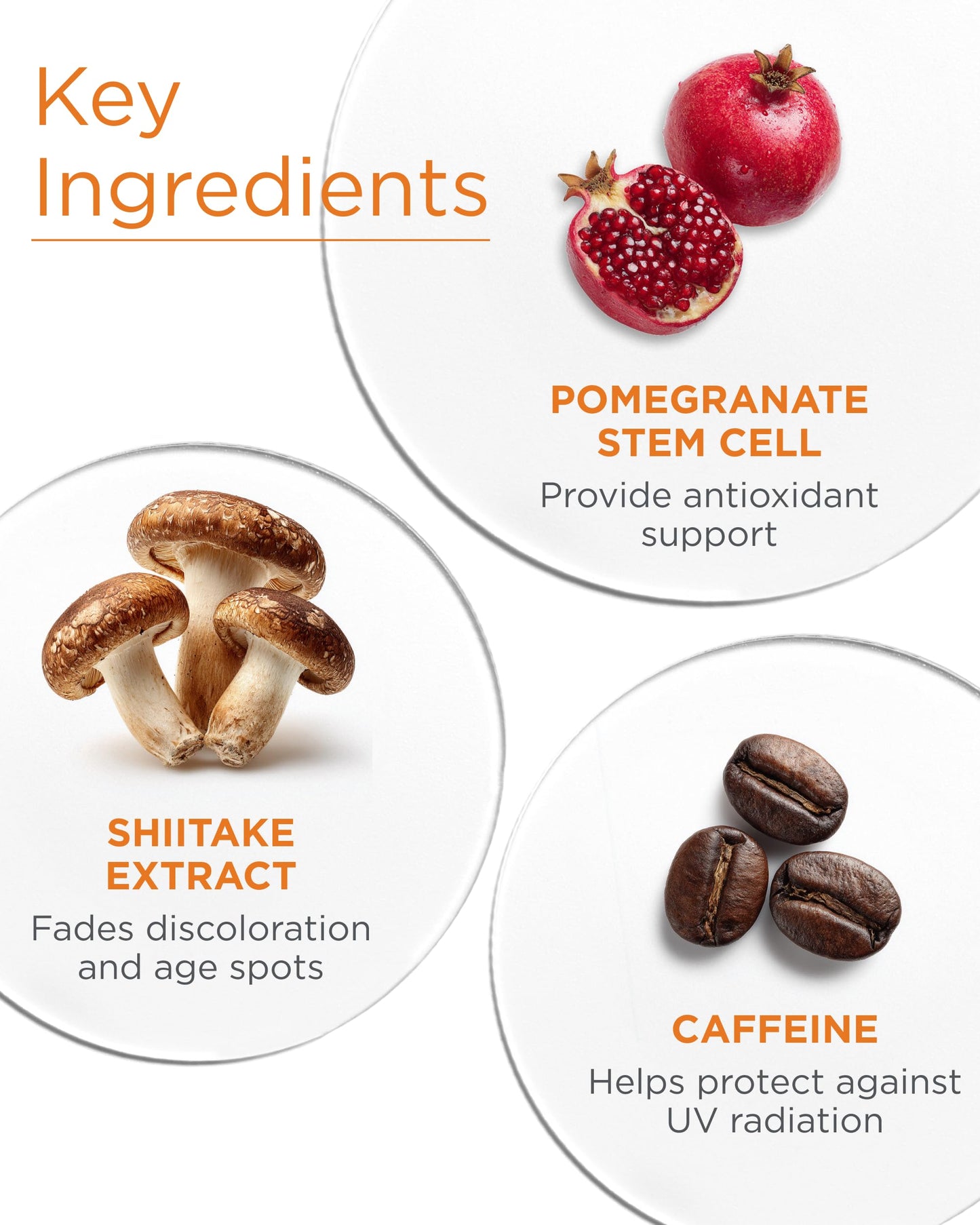 Andalou Naturals Dark Spot Corrector With Vitamin C | Face Serum for Uneven Skin Tone, Boost Radiance & Reduce Wrinkles | Pomegranate Stem Cells and Caffeine | 1 fl oz