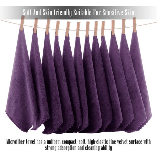 TENSTARS 12 Pack Premium Washcloths Set - Quick Drying- Soft Microfiber Coral Velvet Highly Absorbent Wash Clothes - Multipurpose Use as Bath, Spa, Facial, Fingertip Towel (Grape Purple)