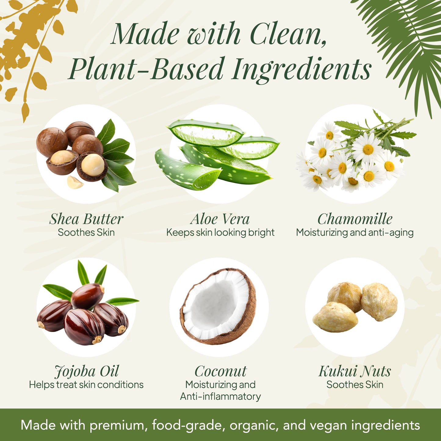 Saavy Naturals Moisturizing Body Wash for Sensitive Skin – Plant-Based & Pure with Coconut Oil, Shea Butter & Aloe Vera – Paraben-Free, Cruelty-Free – Tropical Coconut – 8.5 fl oz, 1 pack
