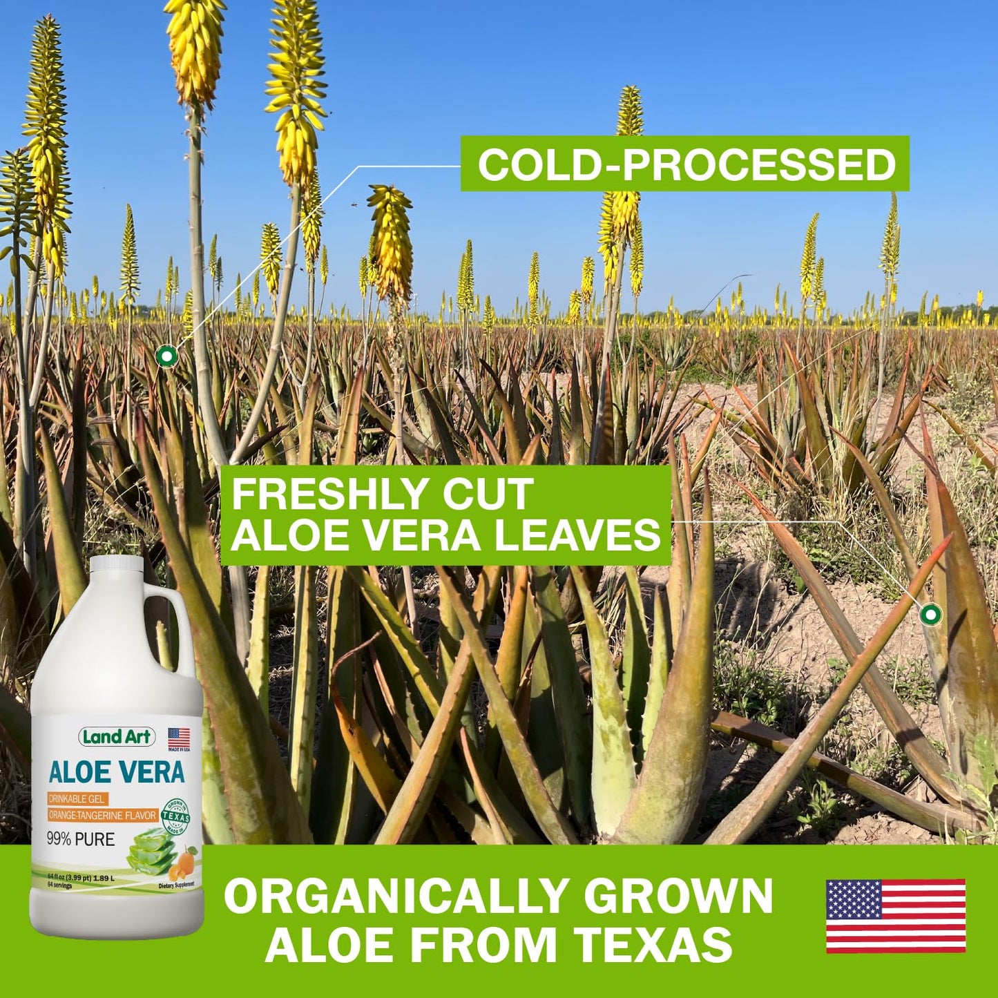 Land Art Pure Aloe Vera Drinkable Gel - Orange Tangerine Flavored - Cold-Processed Inner Filet - from Organic Fresh Leaves from Texas - for Heartburn Relief - Acid Reflux - 64 fl oz