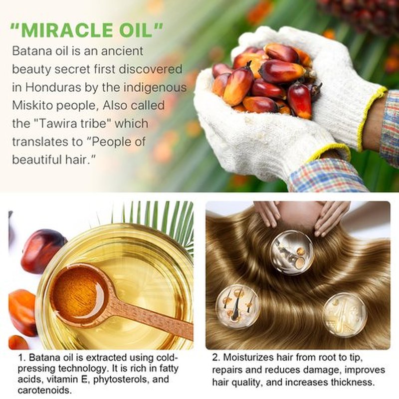 ELBBUB Raw Batana Oil for Hair Growth and Repair -100% Pure, Unrefined Oil from Honduran Rainforests Prevent Hair Loss and Enhances Hair Thickness in Men & Women