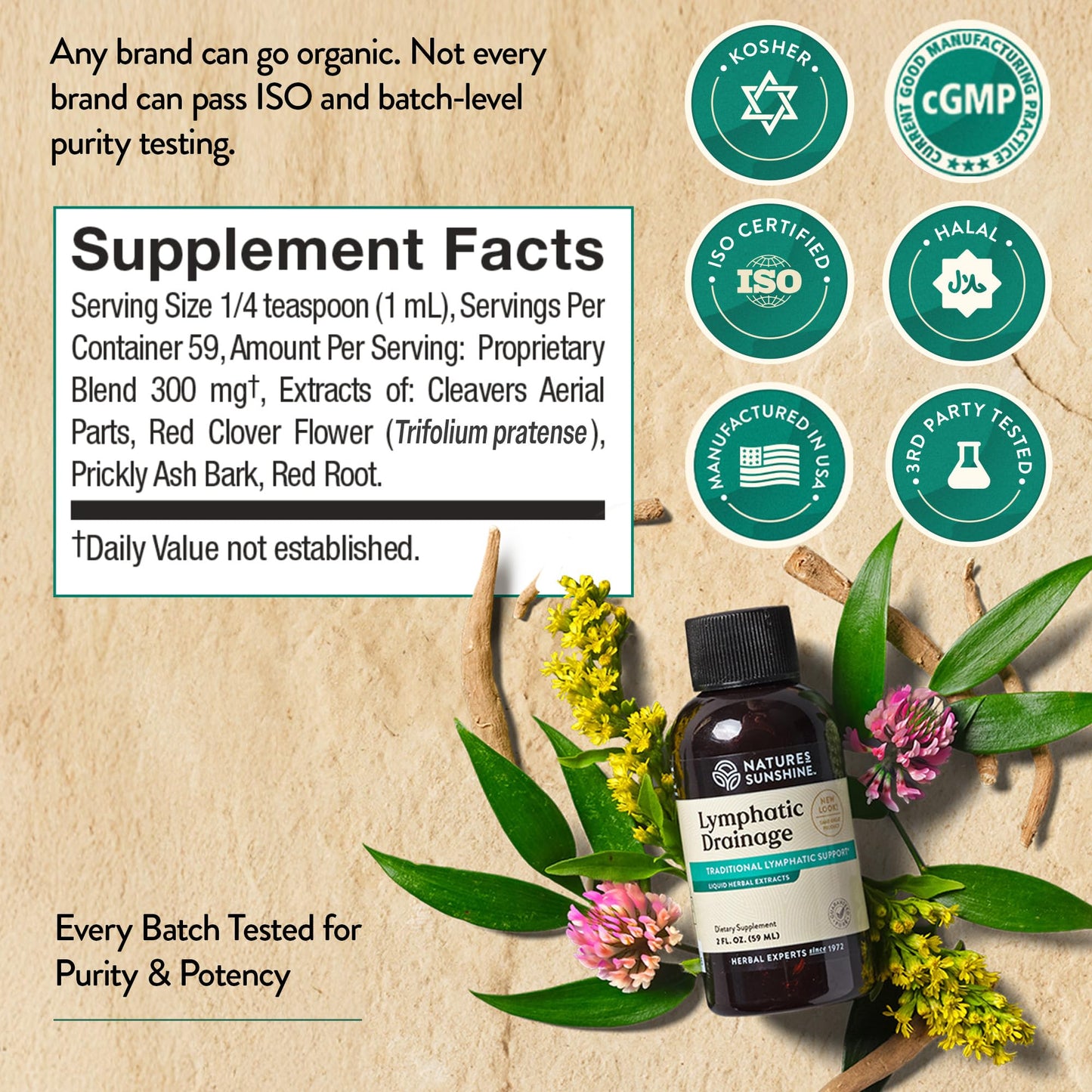 Nature's Sunshine Lymphatic Drainage Drops with Cleavers Extract - 60 Serv.