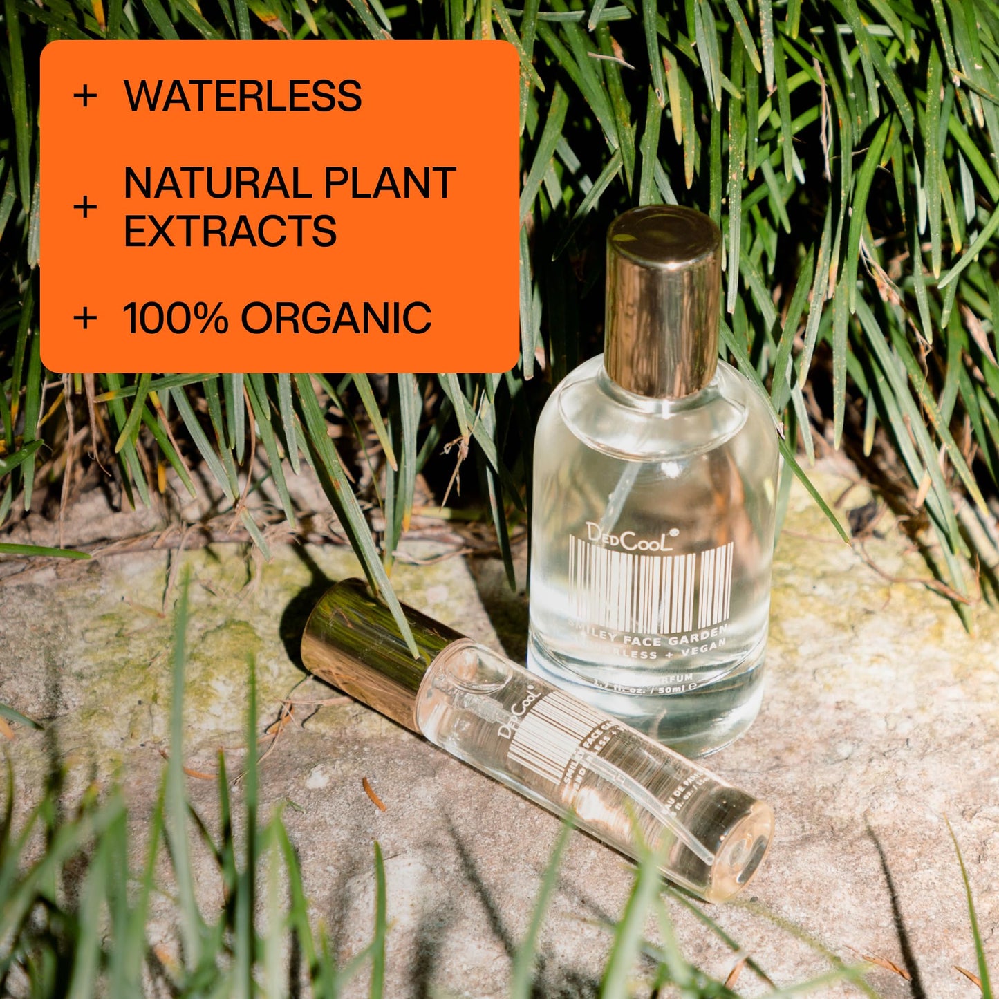 DedCool Eau de Parfum | Madonna Lilly | Black Pepper, Sandalwood & Bergamot | Clean Unisex Fragrance | Non-Toxic, Vegan | 1.7 fl oz