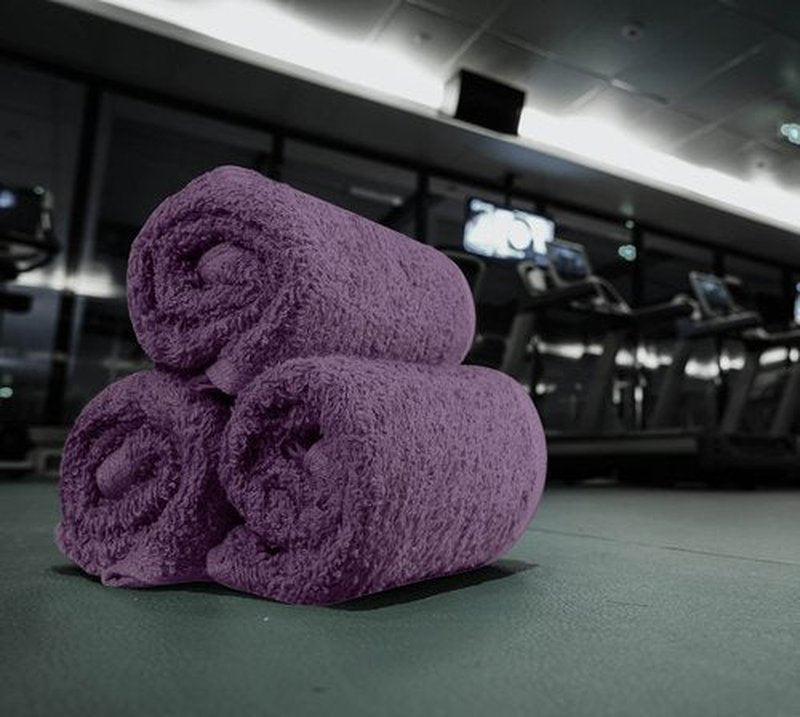 Utopia Towels 24 Pack Cotton Washcloths Set - 100% Ring Spun Cotton, Premium Quality Flannel Face Cloths, Highly Absorbent and Soft Feel Fingertip Towels (Plum)
