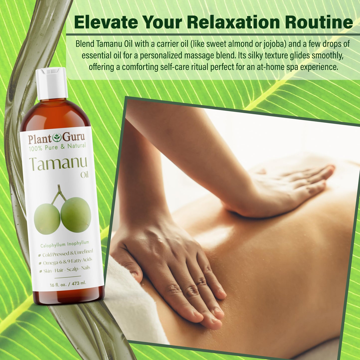 Plant Guru Tamanu Oil 8 fl. oz. – Cold‑Pressed 100% Pure & Natural Unrefined Carrier Oil for Skin, Face, Body & Hair Moisturizer. Ideal for DIY Creams, Lotions, Soaps & Lip Balms.