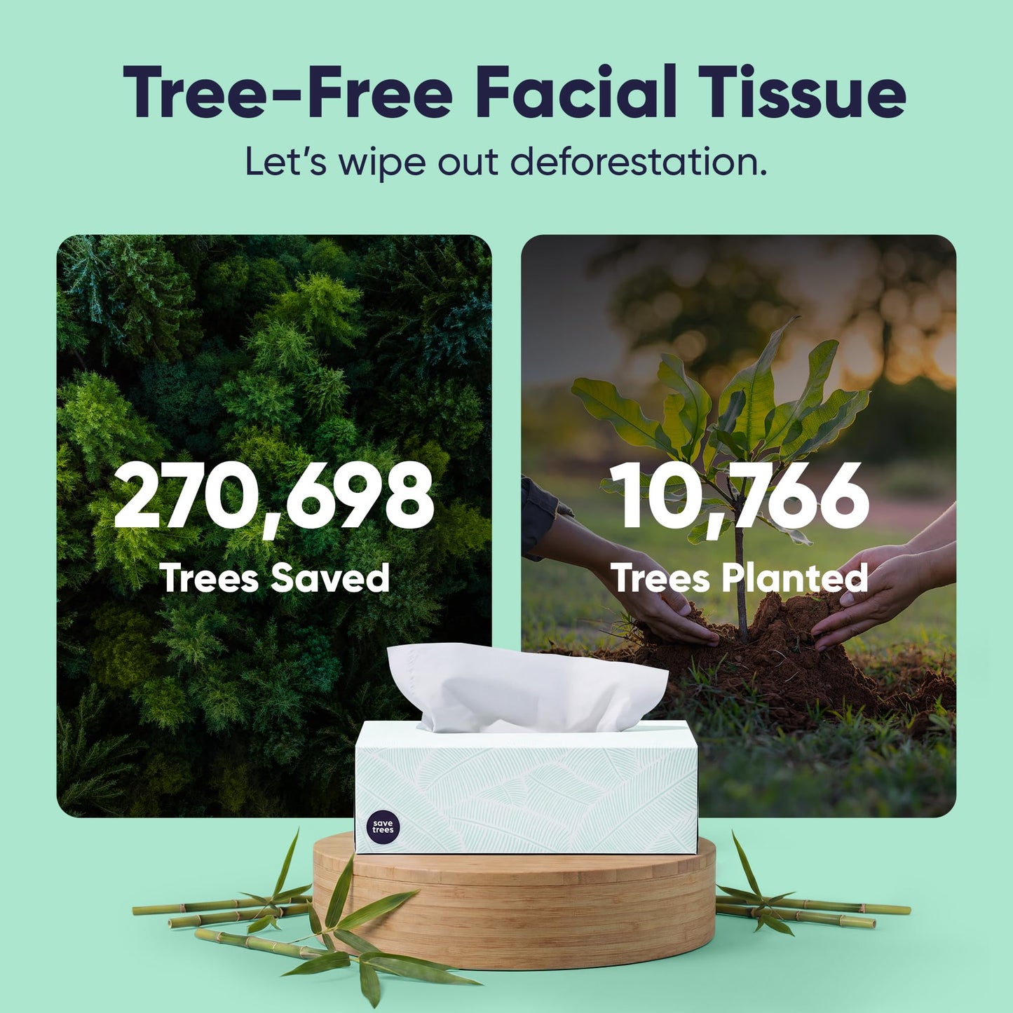 Save Trees Bamboo Facial Tissues - 12 Boxes of Eco-Friendly, 3-Ply Hypoallergenic Tissues, 90 Sheets per Box, FSC Certified, Plastic-Free Packaging, Soft & Gentle for Home Use