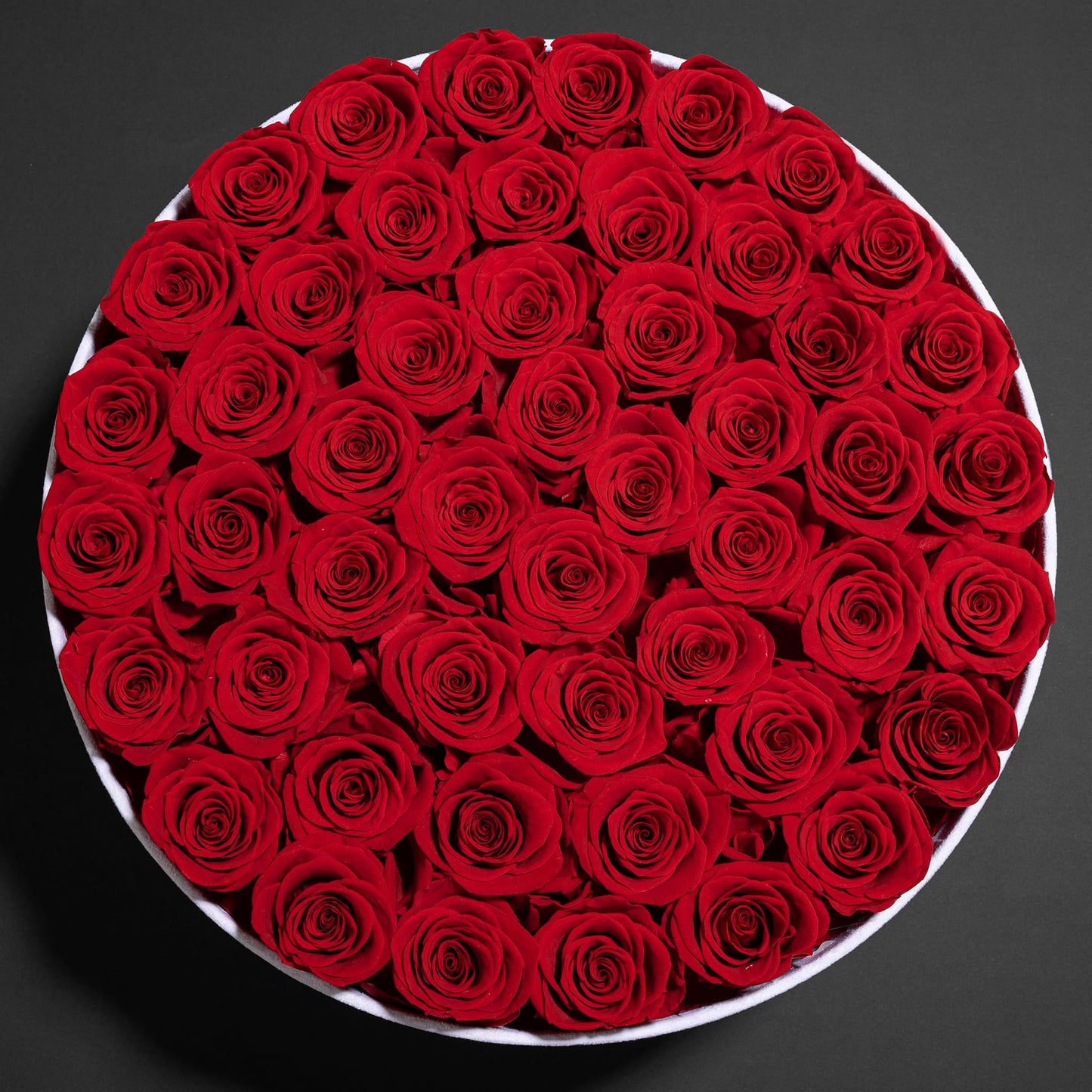 50 Piece Roses in a Velvet Box, Flowers for Delivery, Presereved Flowers Birthday Gifts for Women Mom and Wife (Red)