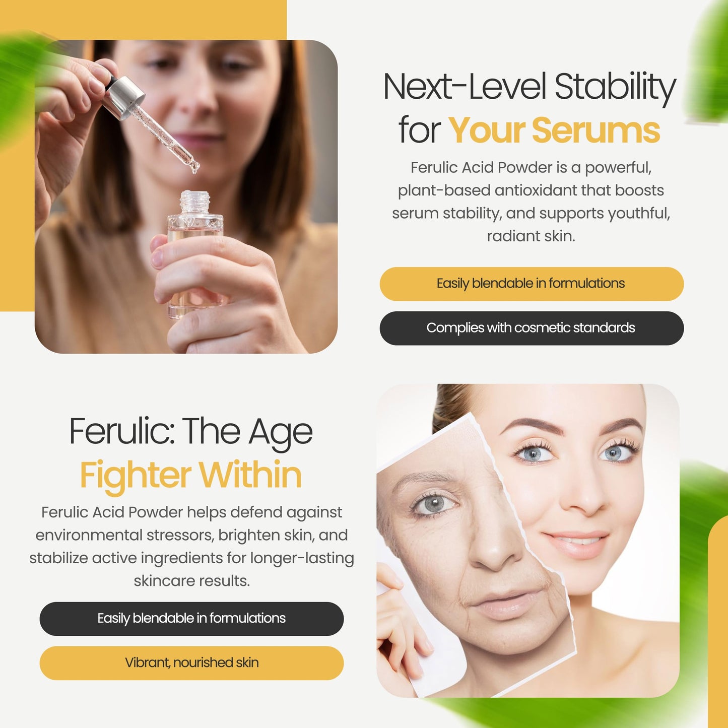 Ferulic Acid Powder Pure 99% Pure Cosmetic Grade Powder Pure Natural, DIY Skincare (2 Oz / 56 Grams), by Talsen Chemicals