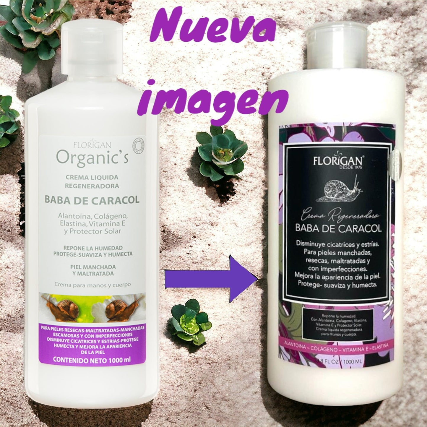 Florigan Face and Body Dynamic Lotion Baba de Caracol 1lt