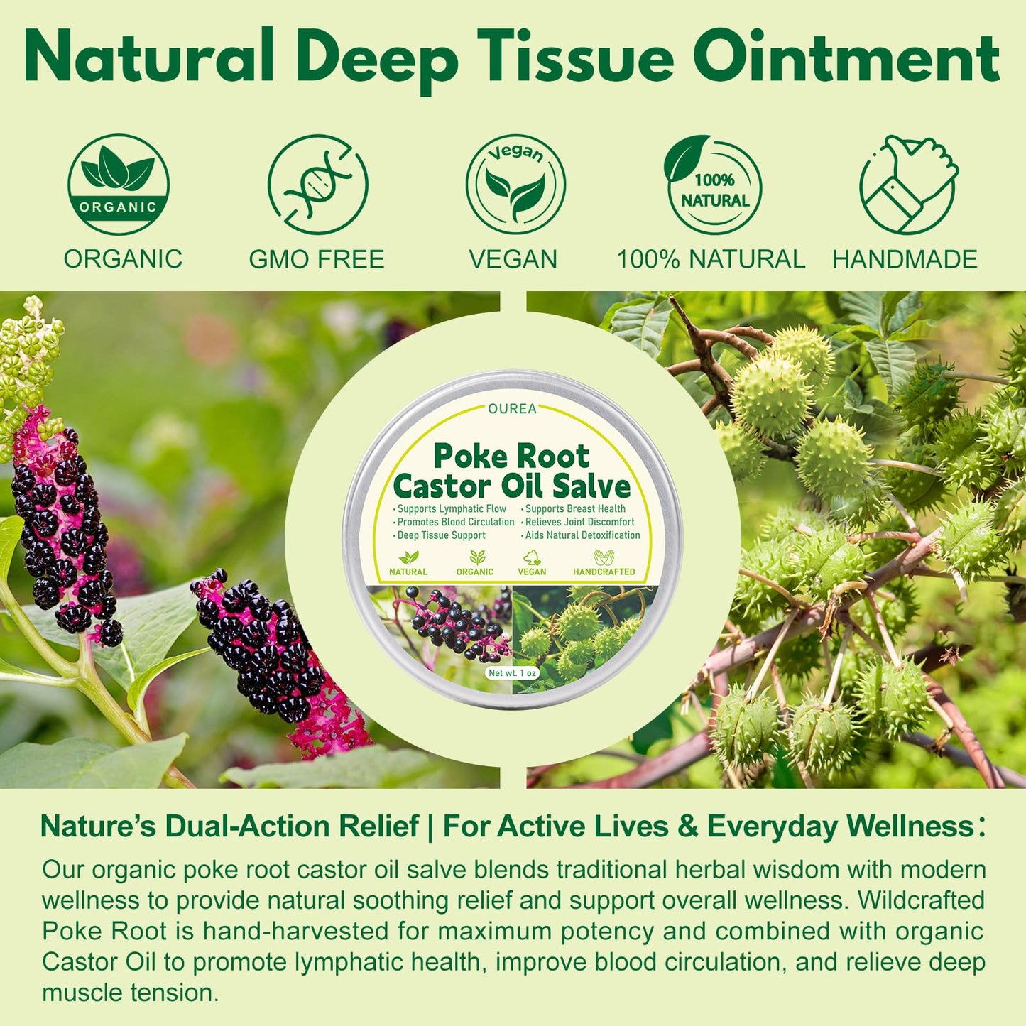 Poke Root Castor Oil Salve, Organic Lymphatic Support Massage Balm, Deep Tissue Ointment for Cyst, Boils, Breast, Fibroids, Swollen Lymph Nodes & Joint, Natural, Vegan - 1 Oz