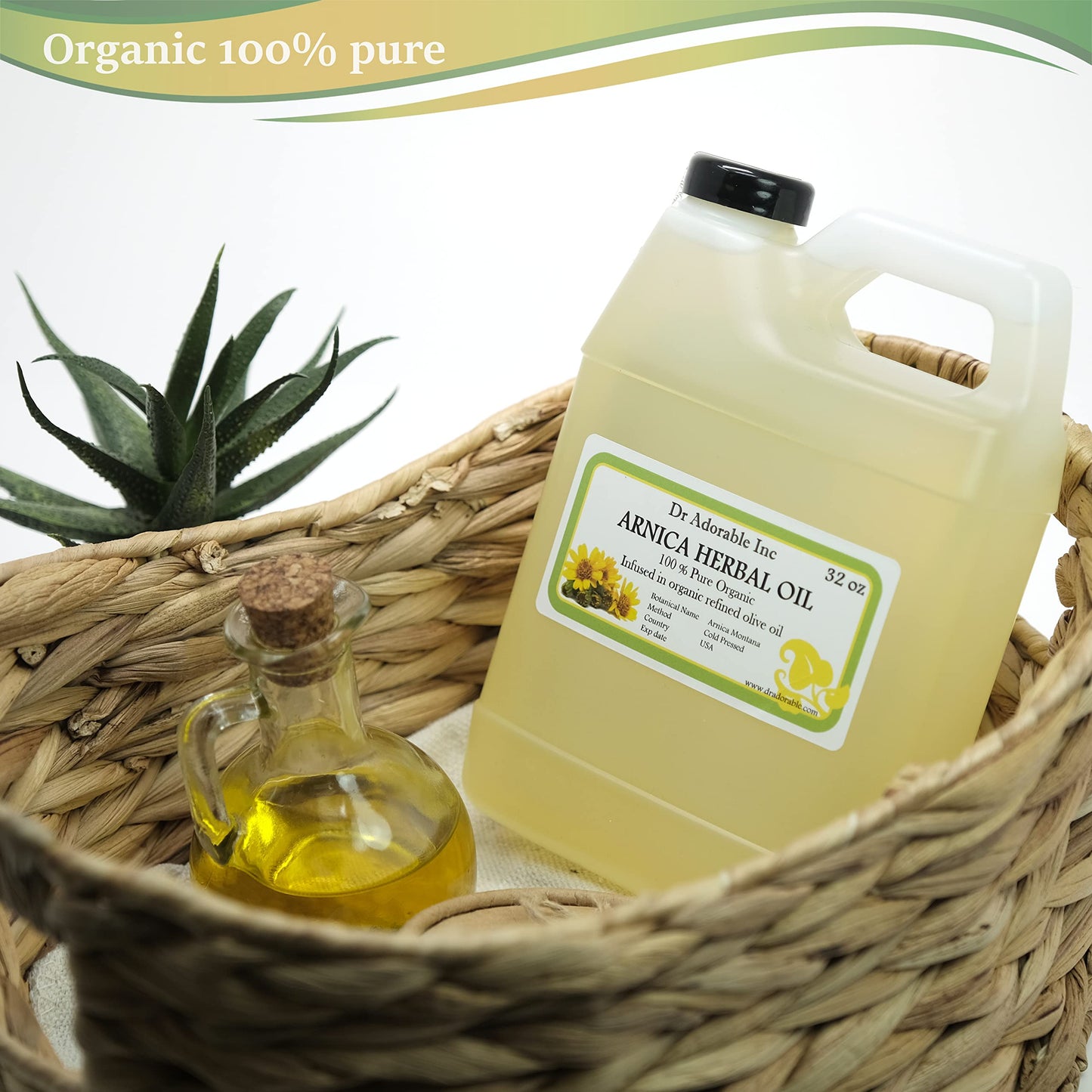 Dr Adorable - 32 oz - Arnica Herbal Oil - 100% Pure Infused Natural Organic