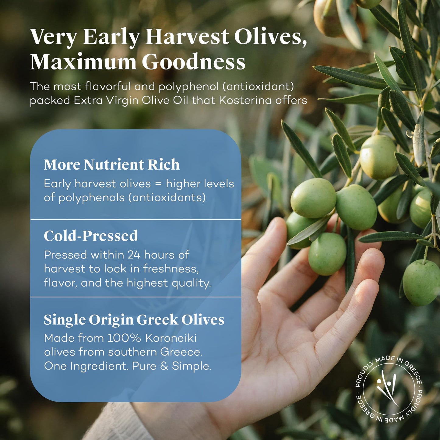 Kosterina Spicy Red Pepper Olive Oil Tin | Polyphenol Rich Greek Olive Oil, Cold-Pressed from Early Harvest Koroneiki Olives | Infused with Red Pepper for Bold Flavor | Product of Greece (16.9 oz)