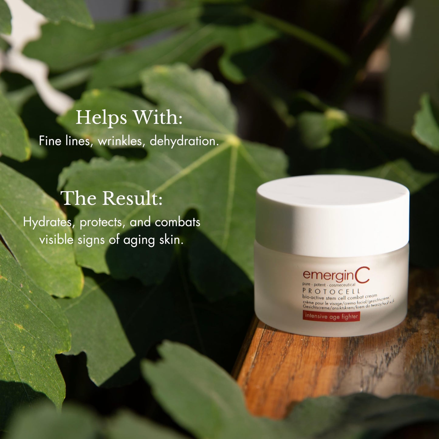 emergin C Protocell Anti-Aging Face Cream - Bio-Active Plant Stem Cell Moisturizer with Hyaluronic Acid - Combats Visible Signs of Aging, Fine Lines + Wrinkles (1.7 oz, 50 ml)