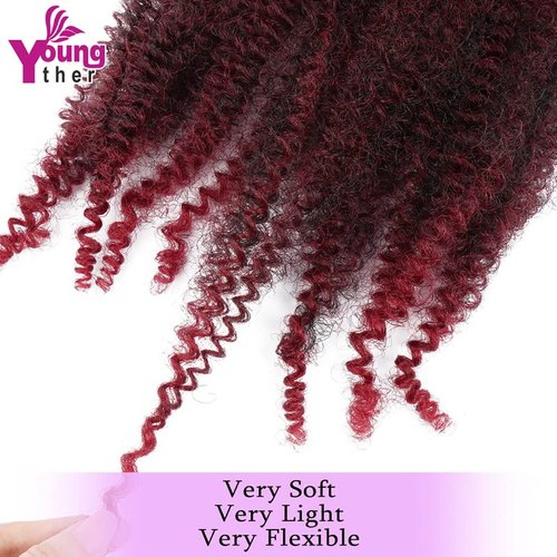 Marley Braiding Hair 24 Inch Long 6 Packs Springy Afro Twist Crochet Hair for Distressed Butterfly Locs Synthetic Pre-Separated Spring Twist Braids Hair Extensions for Black Women (Tbug)