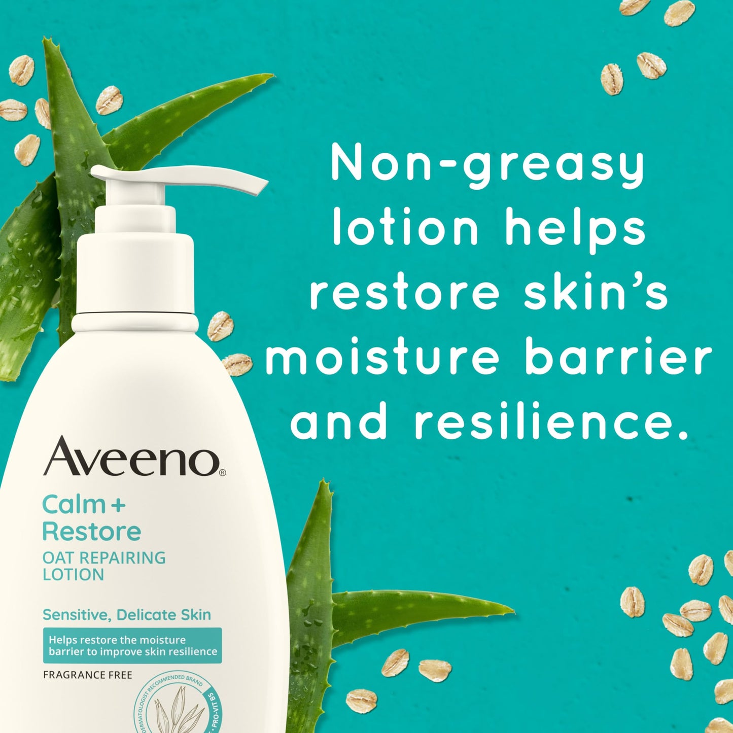 Aveeno Calm + Restore Oat Repairing Body Lotion for Sensitive Skin,Daily Moisturizer with Prebiotic Oat,Aloe & Pro-Vitamin B5,Fragrance Free Body Lotion Helps Heal Dry Skin,12 oz,(Pack of 12)