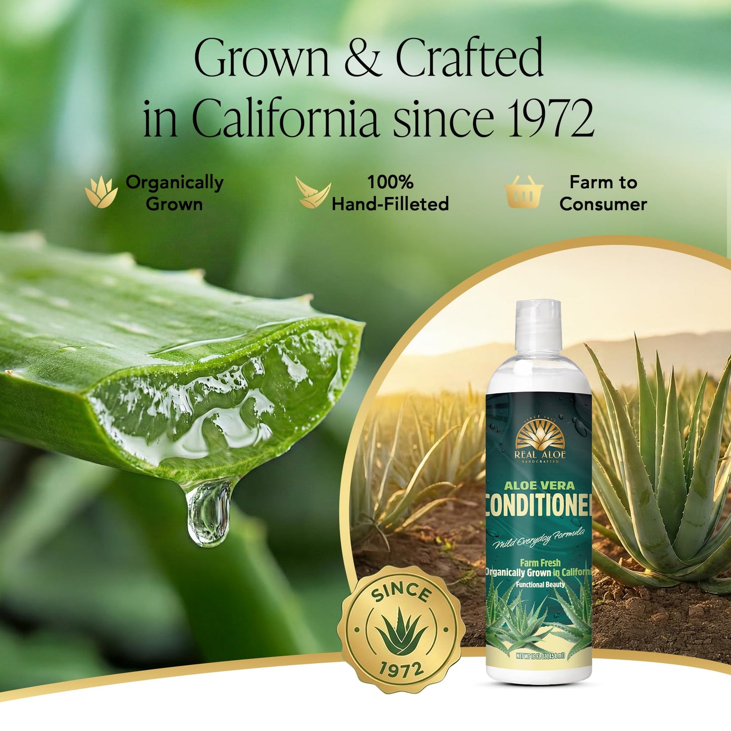 Real Aloe Vera Conditioner (16 fl oz) | Organic Aloe & Argan Oil | Sulfate, Paraben & Phenoxyethanol Free | Lightweight, Gentle Daily Hair & Scalp Care | Made in USA