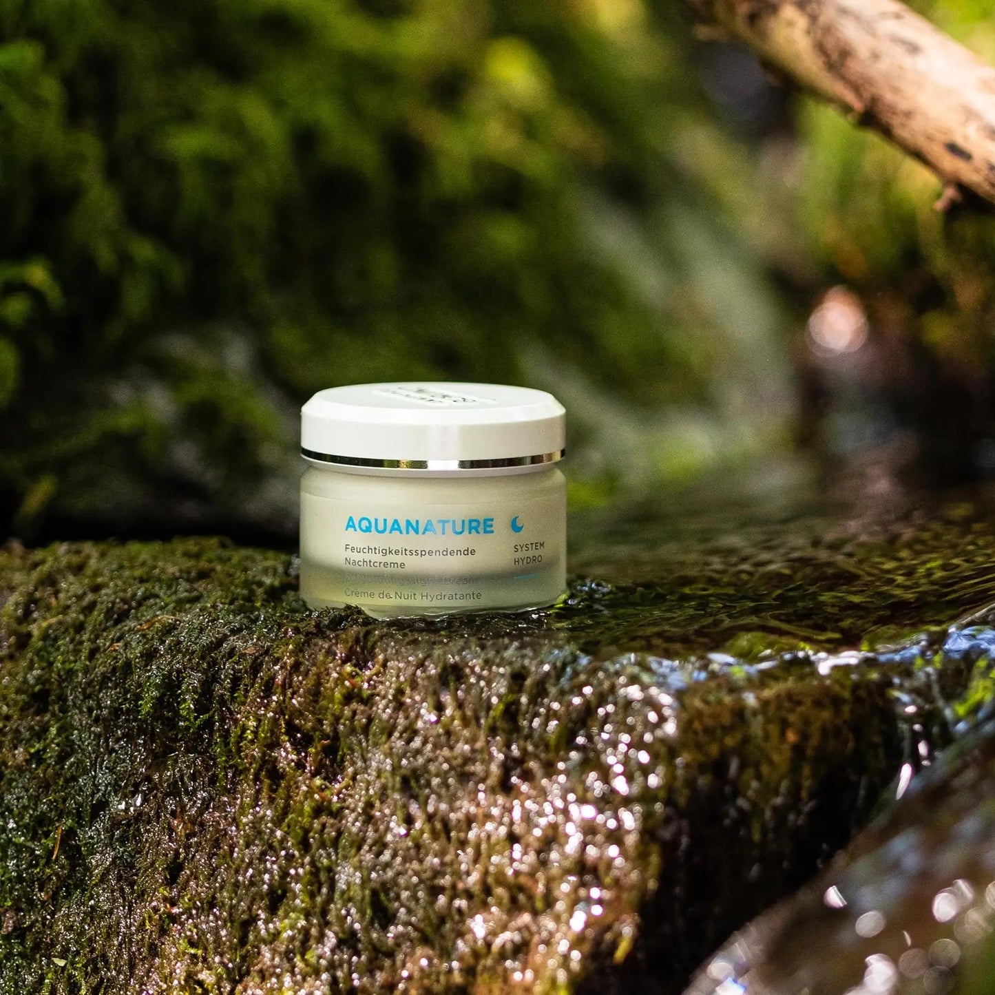 ANNEMARIE BÖRLIND - AQUANATURE Rehydrating Night Cream - Papyrus and Glasswort Extracts for Lasting Hydration - Nourishes, Regenerates, Rehydrates - 1.69 Fl Oz