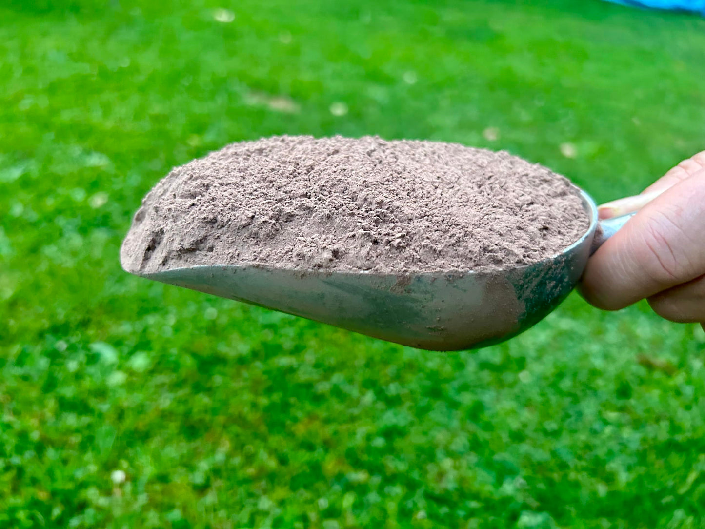 Red Clay for DIY seedballs & More
