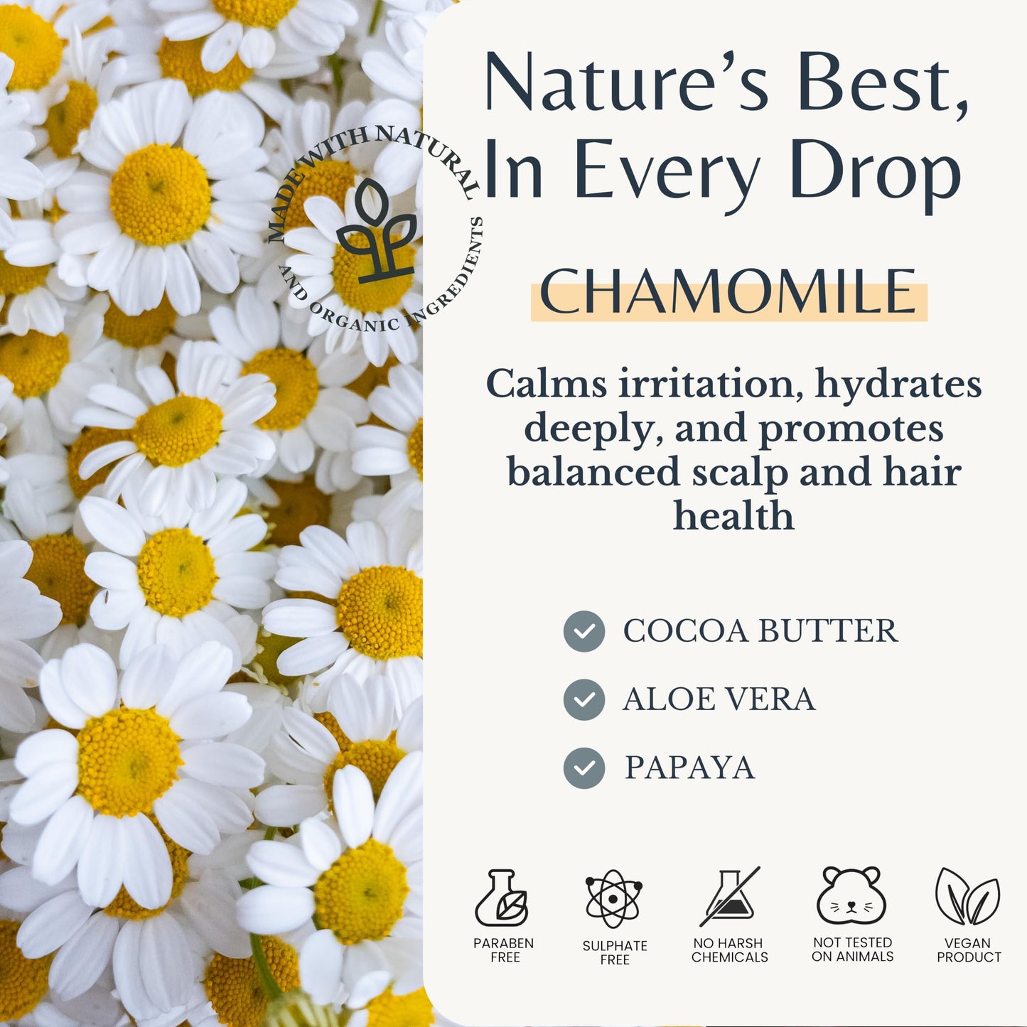Edenika Botanicals Chamomile Conditioner with Cocoa Butter, Aloe Vera & Papaya, 16 fl oz, Calming & Volumizing Formula, Vegan, Sulfate-Free, Paraben-Free, for All Hair Types
