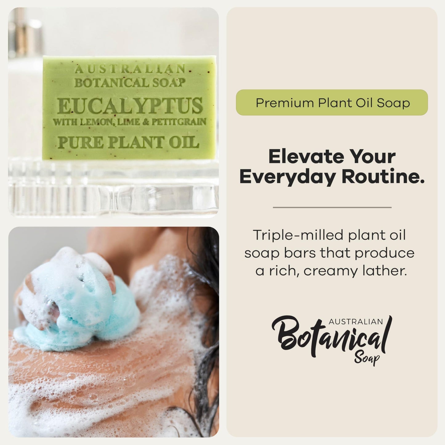 Australian Botanical Soap Eucalyptus with Lemon Lime and Petitgrain 6.6 oz Triple Milled Luxury Soap Bar Enriched with Shea Butter and Natural Oils, Pack of 1