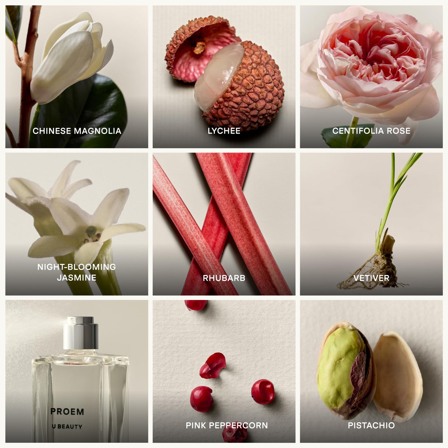 U Beauty PROEM Eau de Parfum, 50ml