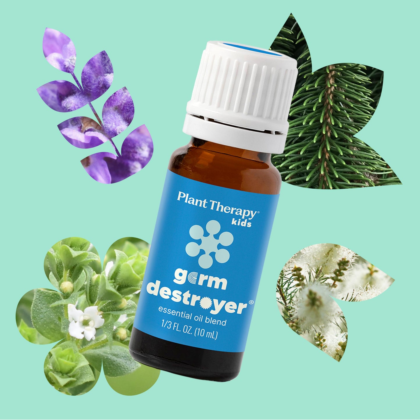 Plant Therapy Kids Destroyer Essential Oil Blend - Support Blend for Kids 100% Pure, Undiluted, Natural Aromatherapy, Therapeutic Grade 10 mL (1/3 oz)