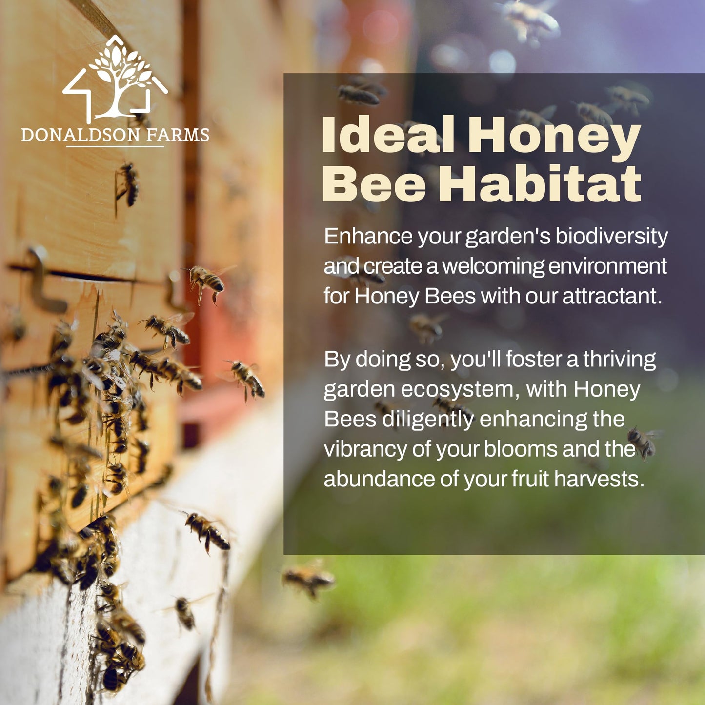Donaldson Farms - Honey Bee Attractant Spray - Bee Hive Lure for Gardens, Beehives, Flowers & Fruit Trees with Natural Lemongrass Oil Formula, Easy to Use for Beekeepers & Pollinator Support - 2 oz