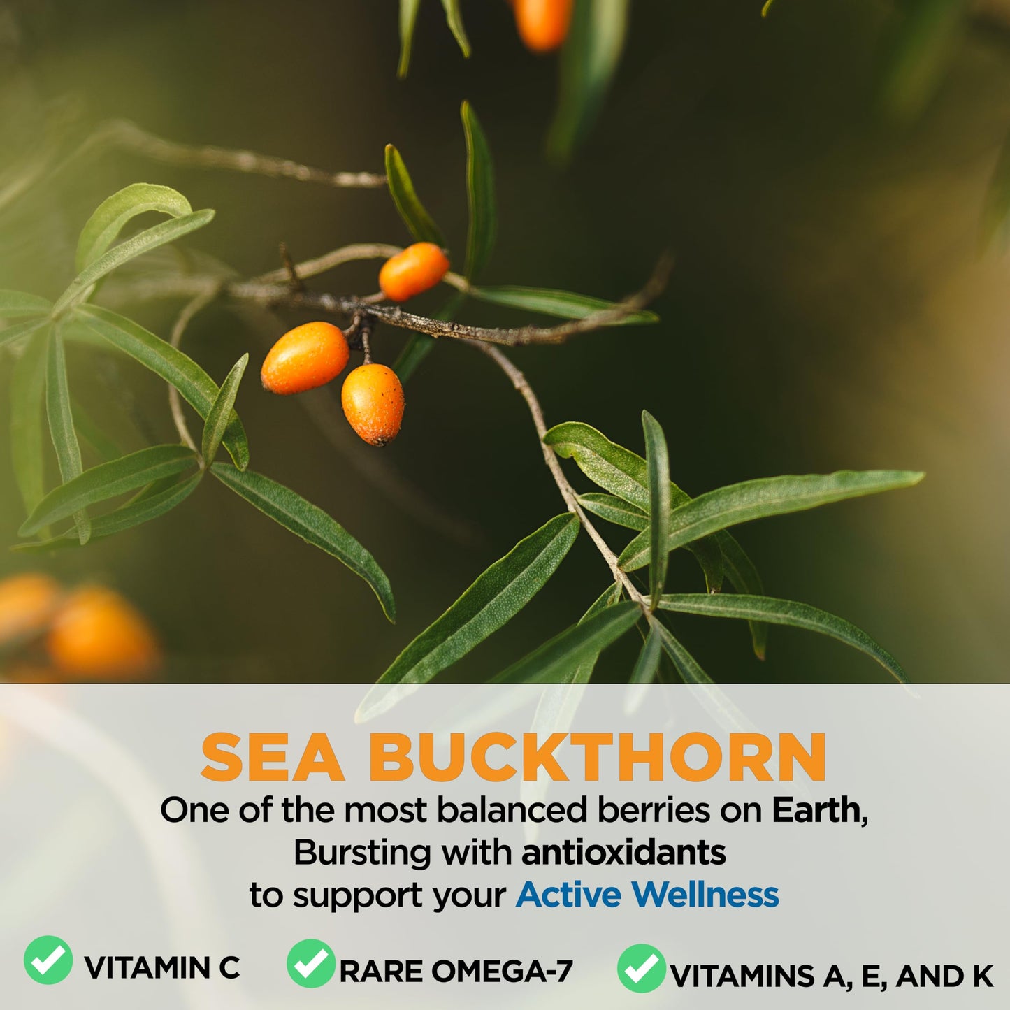 Miracle Sea Buckthorn PERFORM – Organic Sea Buckthorn Juice Drink for Energy, Hydration & Performance– Natural Omega 7 & Antioxidant Support – Pure Sea Buckthorn Berry Natural Focus, Recovery & Antioxidants – No Added Sugar – 10 fl oz Glass Bottle